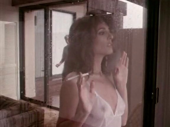 shauna grant debi diamond ron jeremy in vintage porn clip